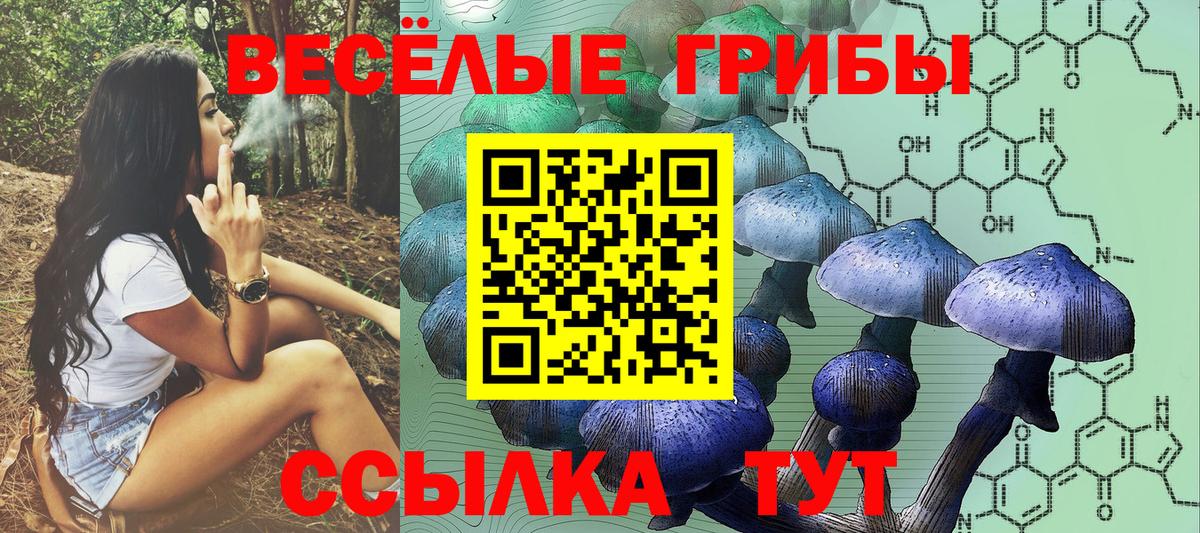 Галлюциногенные грибы ЛСД Котельники