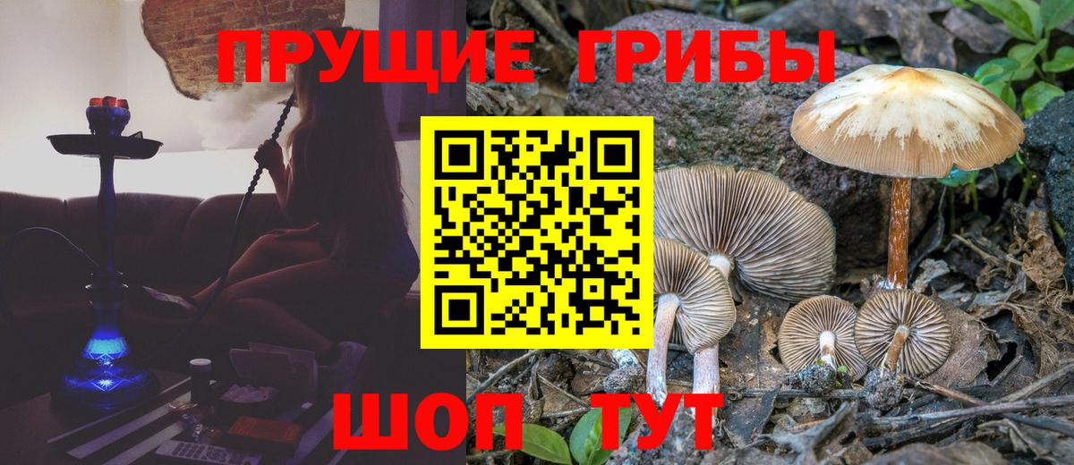 Псилоцибиновые грибы ЛСД  Вход с VPN  Котельники 